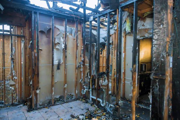 Professional Soot Cleanup technician working in Kirkland, WA