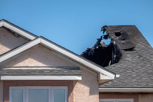 Top rated local Soot Cleanup specialists in Kirkland, WA